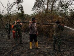 Kodam XIX Tuanku Tambusai Perkuat Penanganan Karhutla di Lubuk Kembang Bunga