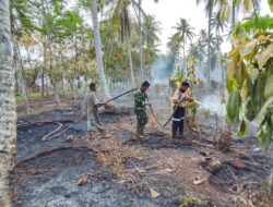 Kodam XIX Tuanku Tambusai Tuntaskan Kobaran Karhutla di Lahan Gambut Meranti