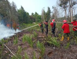 Kodam XIX Tuanku Tambusai Bersama Tim Gabungan Hadapi Karhutla di Hutan GSK Bengkalis