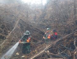 Kodam XIX/Tuanku Tambusai Intensifkan Pendinginan Karhutla di Tiga Lokasi, Puluhan Hektare Lahan Ditangani