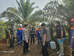 Tinjau Karhutla di Siak, Pangdam XIX/TT dan Kapolda Riau Pastikan Penanganan Berlanjut