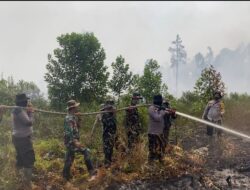 Kodam XIX/Tuanku Tambusai Bersama Tim Terpadu Berjibaku Kendalikan Karhutla di Enam Titik