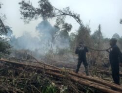Kodam XIX/Tuanku Tambusai Percepat Penanganan Karhutla di Dua Wilayah, Pendinginan Terus Dilakukan