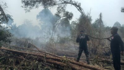 Kodam XIX/Tuanku Tambusai Percepat Penanganan Karhutla di Dua Wilayah, Pendinginan Terus Dilakukan