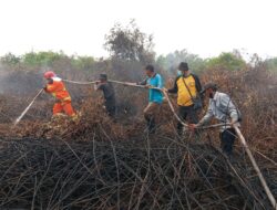 Kodam XIX/Tuanku Tambusai Padamkan Karhutla di Inhil, Asap Gambut Masih Dipantau