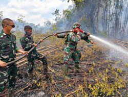 Kodam XIX/Tuanku Tambusai Intensifkan Pendinginan Karhutla di Inhu, Sejumlah Titik Masih Berasap