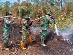 Kodam XIX/Tuanku Tambusai Terus Kejar Pendinginan Karhutla di Inhu, Pulau Jum’at Masih Berasap