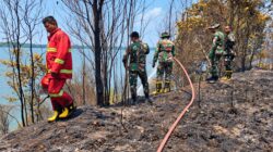Kodam XIX/Tuanku Tambusai Kerahkan Personel Tangani Karhutla di Hutan Lindung Tembesi