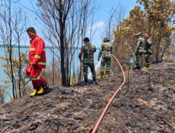 Kodam XIX/Tuanku Tambusai Kerahkan Personel Tangani Karhutla di Hutan Lindung Tembesi