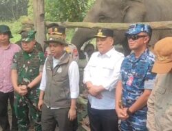 Pangdam XIX/Tuanku Tambusai Hadiri Peninjauan Flying Squad TNTN, Dukungan Nyata untuk Konservasi dan Pencegahan Konflik Satwa