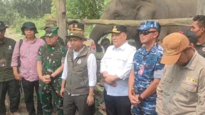 Pangdam XIX/Tuanku Tambusai Hadiri Peninjauan Flying Squad TNTN, Dukungan Nyata untuk Konservasi dan Pencegahan Konflik Satwa