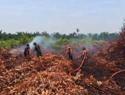 Sinergi TNI-Polri dan BPBD Padamkan Karhutla, Kodam XIX/Tuanku Tambusai Pastikan Situasi Tetap Aman