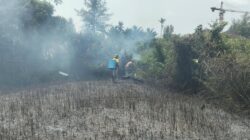 Sinergi Kodam XIX/Tuanku Tambusai dan Masyarakat Padamkan Kebakaran Lahan di Gunung Kijang