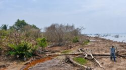 Verifikasi Lapangan Ungkap Fakta, Firespot di Kuala Kampar Berasal dari Lahan Baru Dibuka