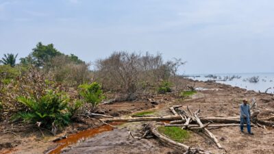 Verifikasi Lapangan Ungkap Fakta, Firespot di Kuala Kampar Berasal dari Lahan Baru Dibuka
